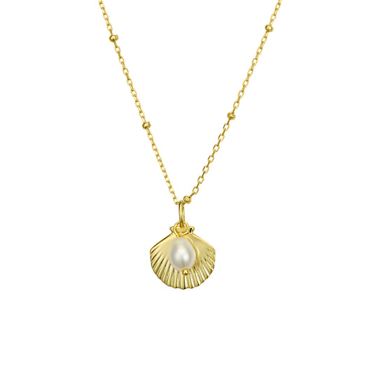 Ocean Shell